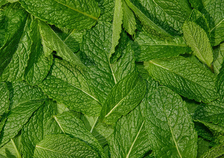 Made with Organic Ingredients  