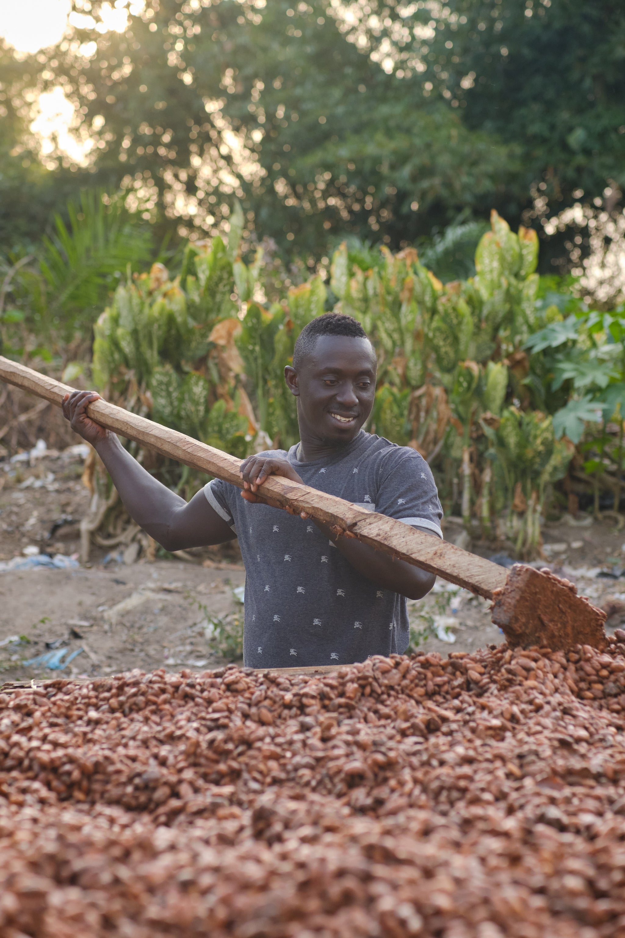 Cocoa Bean Roasting at KANY