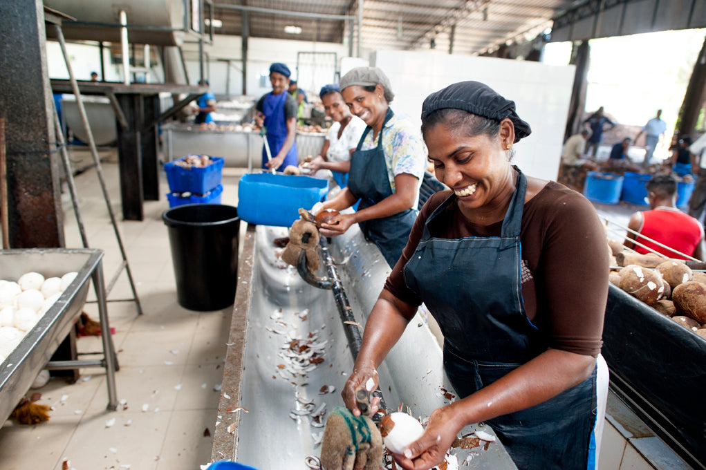 Smiling workers preparing materials.